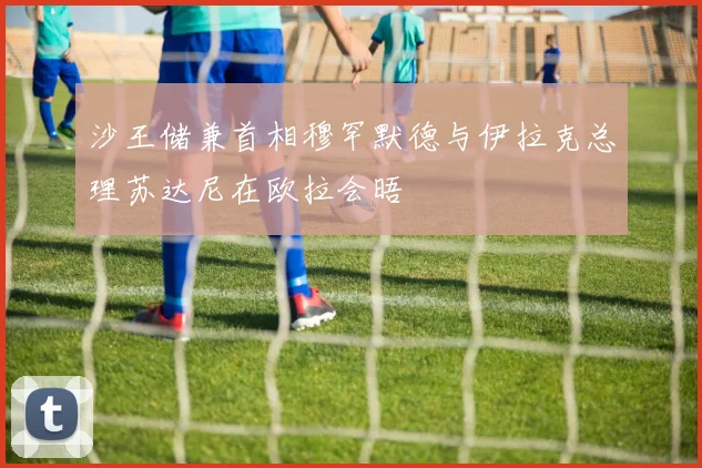 沙王储兼首相穆罕默德与伊拉克总理苏达尼在欧拉会晤