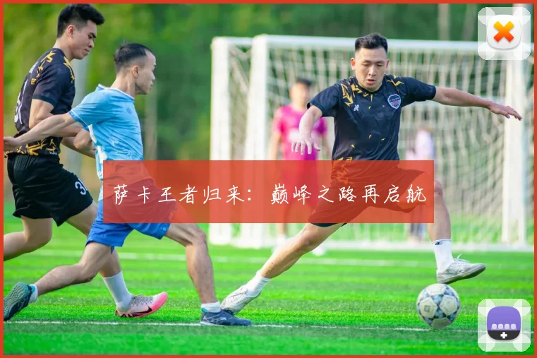 萨卡王者归来：巅峰之路再启航