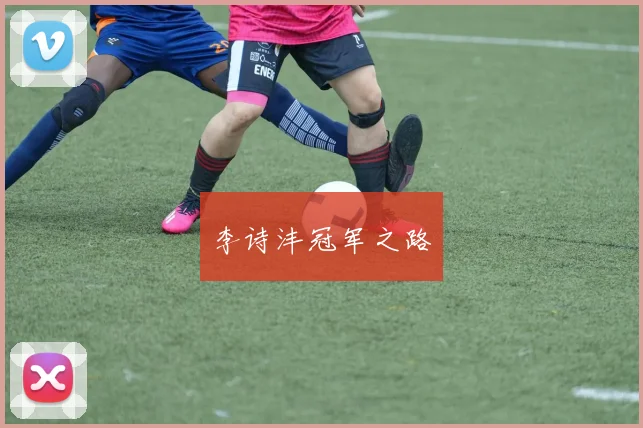 李诗沣冠军之路