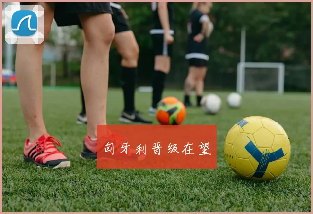 匈牙利晋级在望