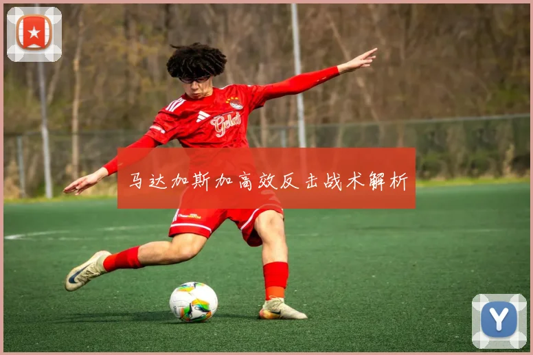 马达加斯加高效反击战术解析