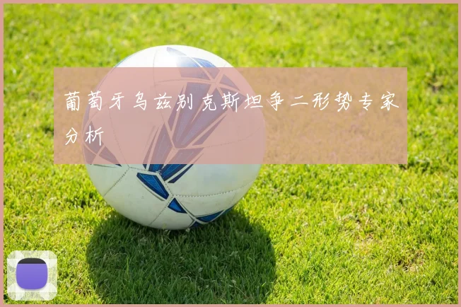 葡萄牙乌兹别克斯坦争二形势专家分析