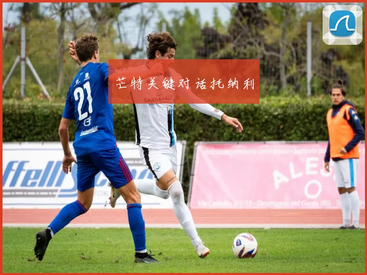 芒特关键对话托纳利