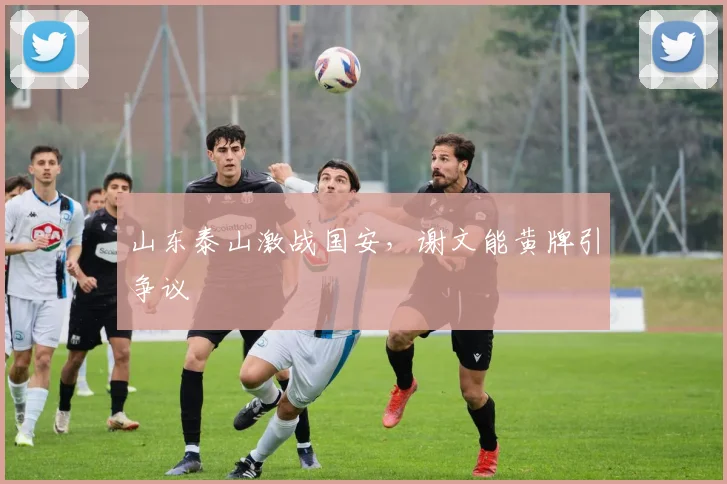 山东泰山激战国安，谢文能黄牌引争议
