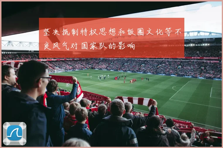 坚决抵制特权思想和饭圈文化等不良风气对国家队的影响