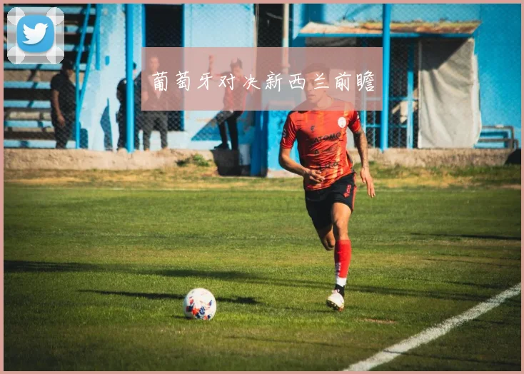 葡萄牙对决新西兰前瞻
