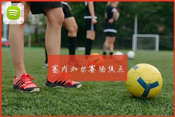 塞内加尔赛场焦点