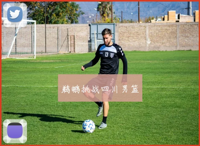 鹈鹕挑战四川男篮