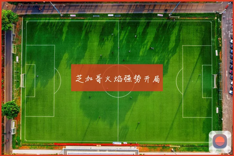 芝加哥火焰强势开局
