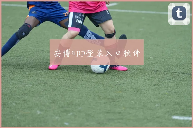 安博app登录入口软件