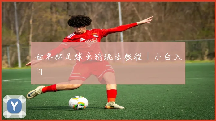 世界杯足球竞猜玩法教程｜小白入门