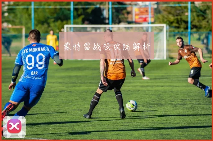 蒙特雷战役攻防解析