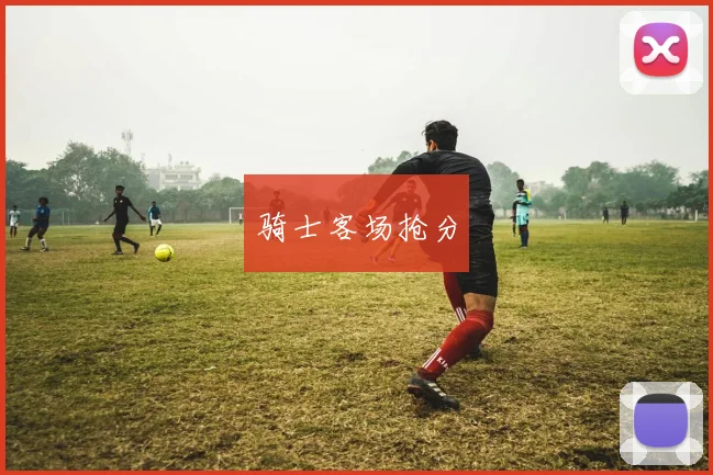 骑士客场抢分