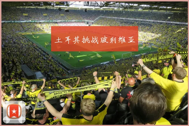 土耳其挑战玻利维亚