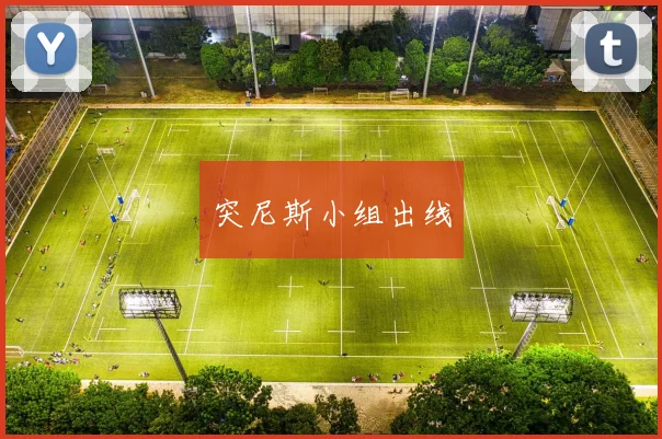 突尼斯小组出线