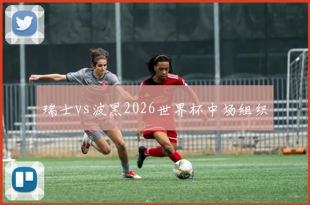 瑞士vs波黑2026世界杯中场组织