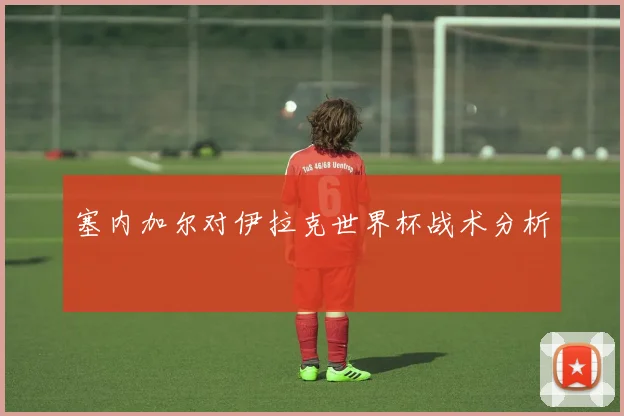 塞内加尔对伊拉克世界杯战术分析