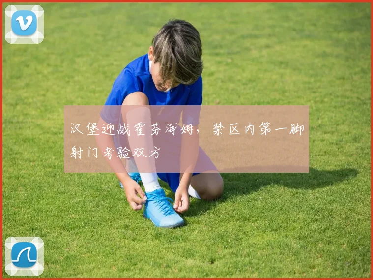 汉堡迎战霍芬海姆,禁区内第一脚射门考验双方