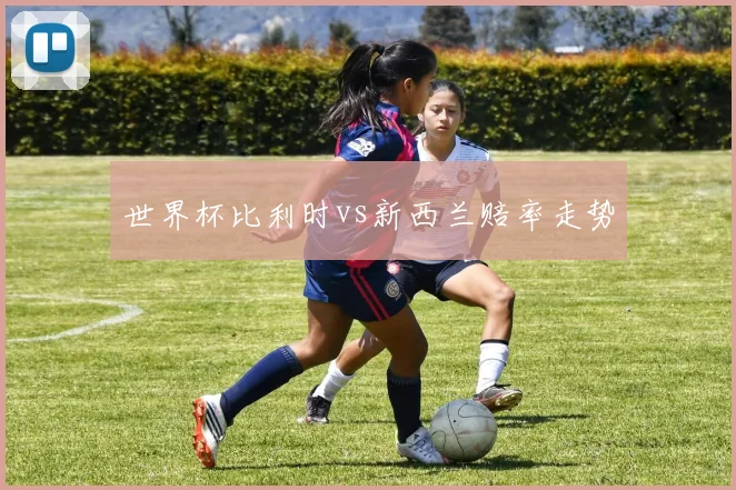 世界杯比利时vs新西兰赔率走势