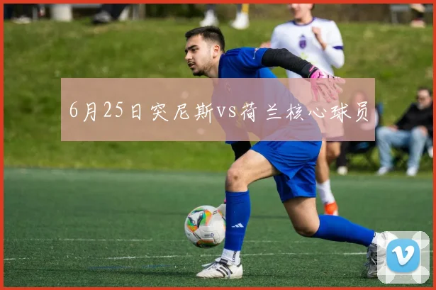 6月25日突尼斯vs荷兰核心球员
